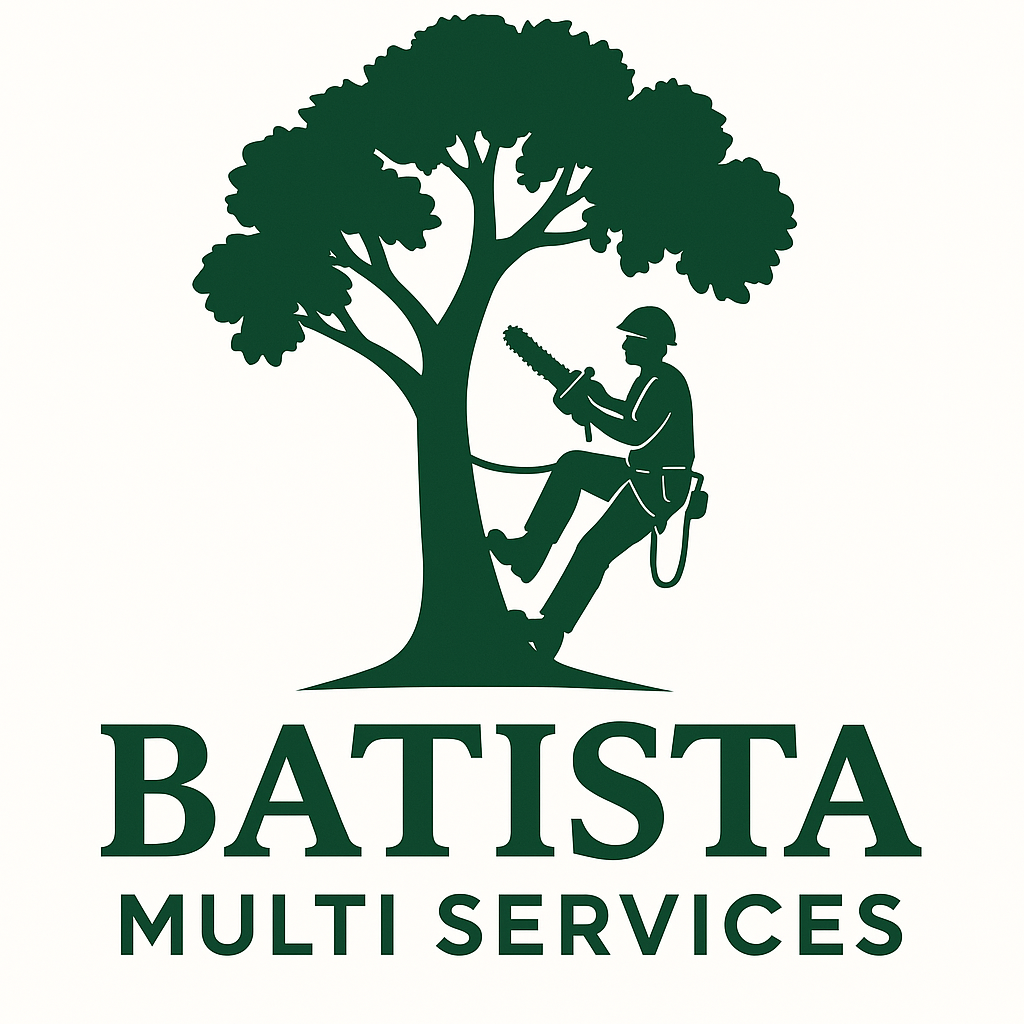 BATISTA MULTI SERVICES
